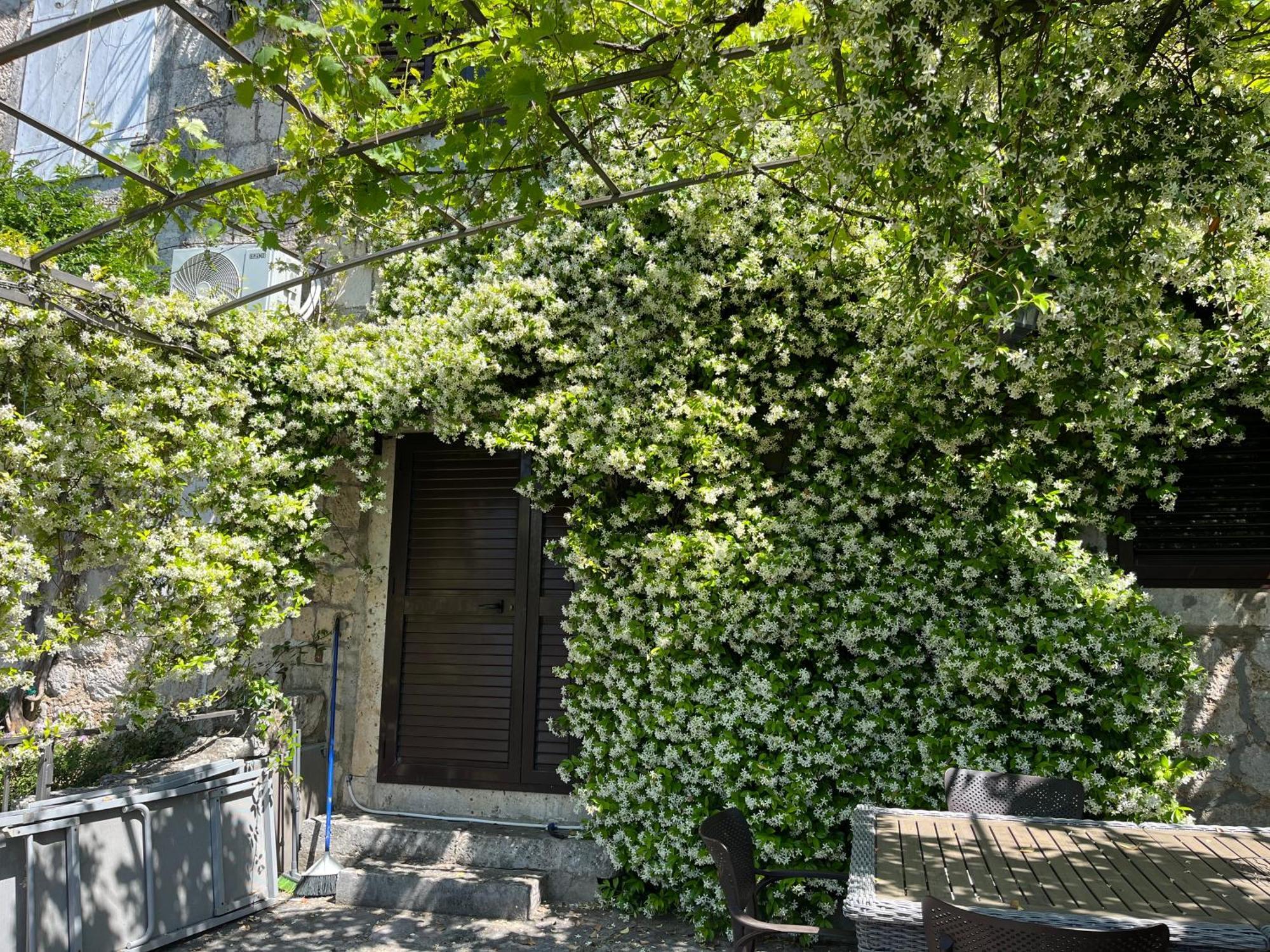 Appartamento Be Happy In Perast Esterno foto